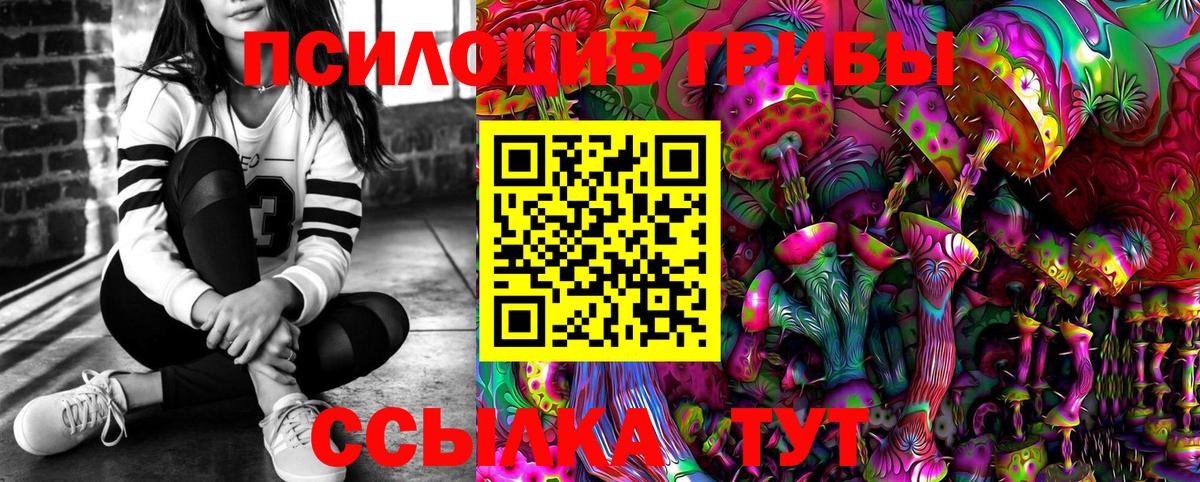 Галлюциногенные грибы Psilocybe Алатырь