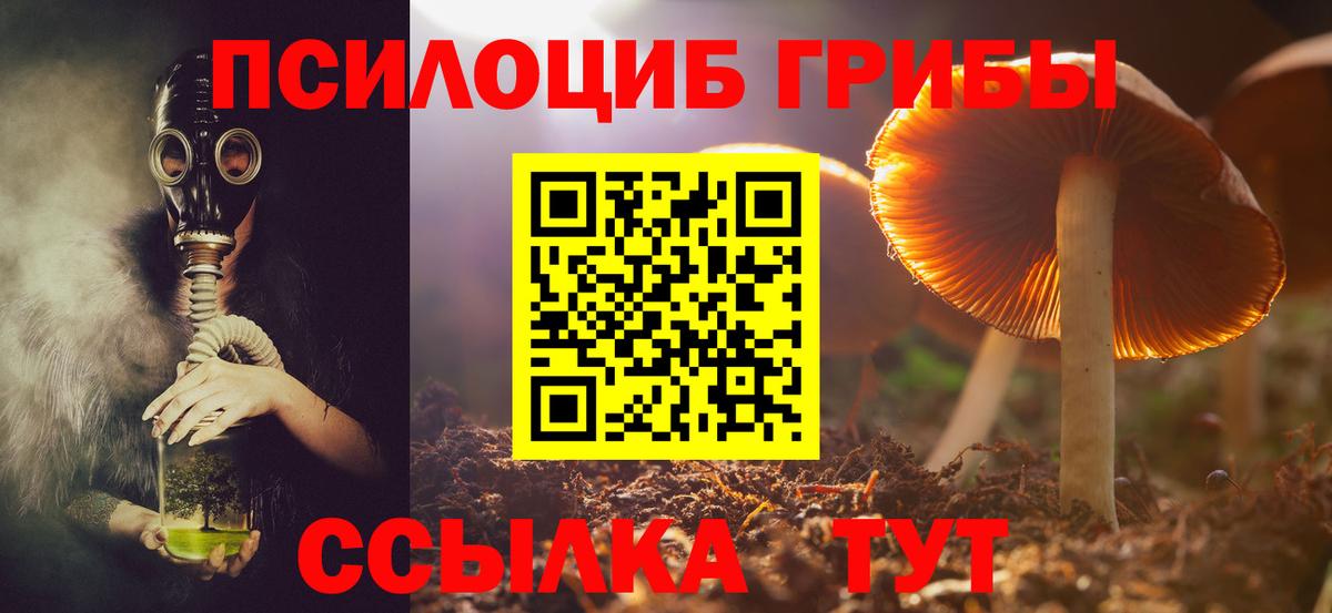 цена наркотик  Вход с VPN  Алатырь  Галлюциногенные грибы мицелий 